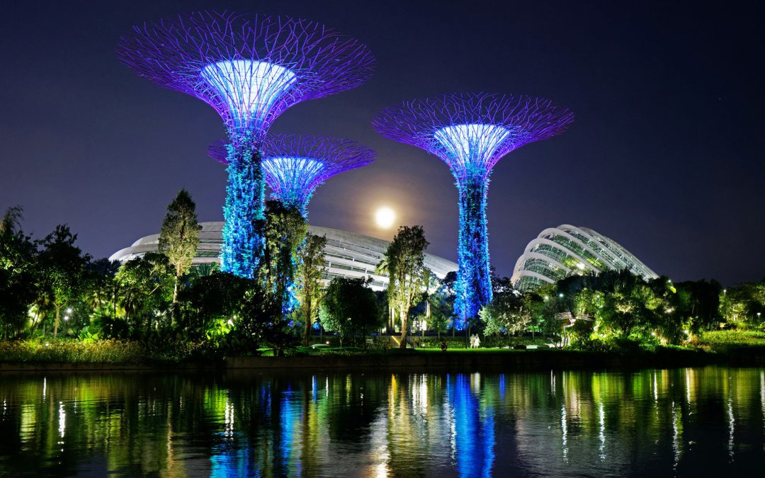 Gardens by the Bay